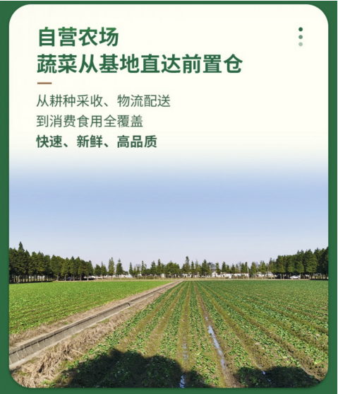 叮咚买菜自营农场“霜打菜”清甜上市  上海日均卖出50万份