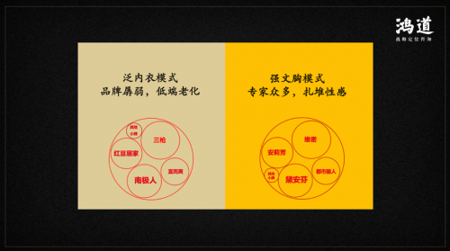 从老牌国货到新生国潮 鸿道战略定位助力红豆集团青春归来