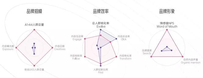 拆解280个新品牌后，我们发现了可复制的四招突围