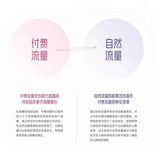 拆解280个新品牌后，我们发现了可复制的四招突围