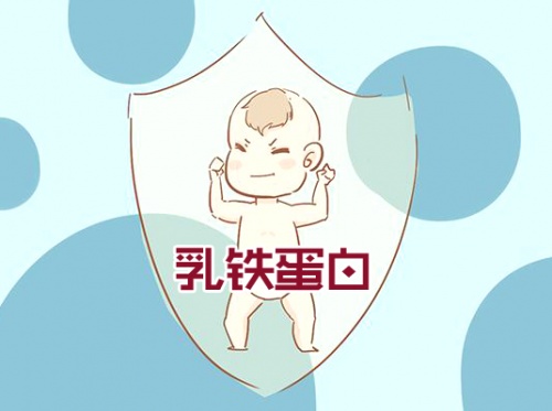 ​乳铁蛋白奶粉哪个品牌好？这款荷兰奶粉受到“皇家”认可！