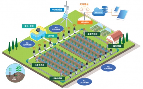 电装传感技术跨界赋能，构建可持续发展食品价值链