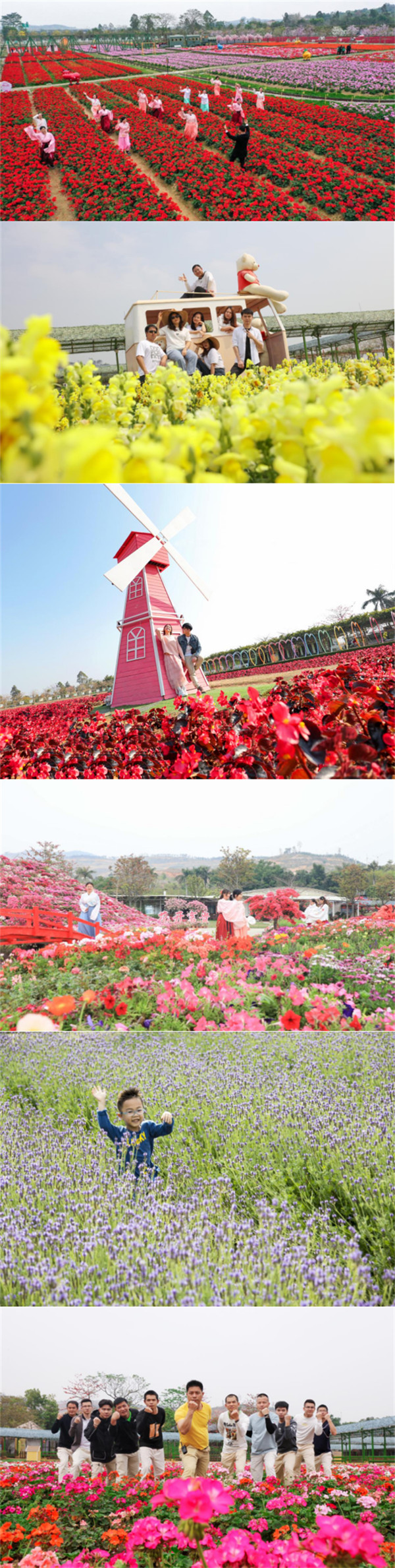 盈虎贺岁 百花盛会 2022最岭南之佛山过大年