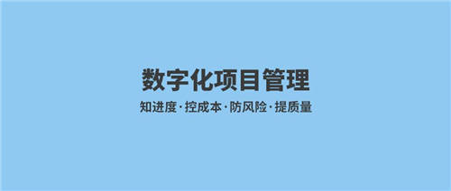 泛微数字化项目管理平台：知进度·控成本·防风险·提质量