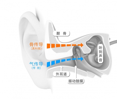 给跑步女生的建议：戴韶音运动耳机，提高安全指数之一