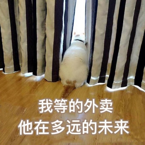 卓思：懒人经济下，专业上门服务如何寻找最优路径