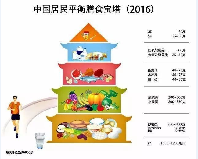 春日状态持续UP 营养运动一个也不能少