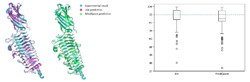 昇思MindSpore再突破：蛋白质结构预测训练推理全流程开源，助力生物医药发展