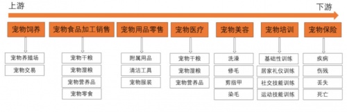 私域运营专家探马SCRM助力宠物行业构建私域运营，实现用户增长