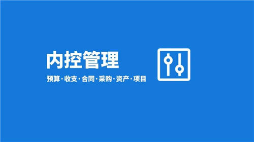 泛微数字化内控管理体系，助力组织规范经济行为，优化业务模式