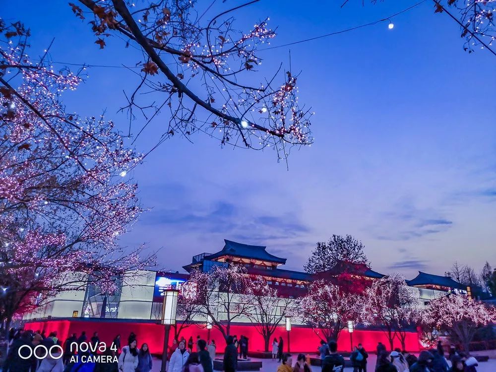 从苍茫大地到绚丽古都，用华为nova4的超广角留住一路美景