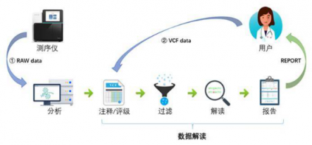 华为云助力基因检测科研，为生物产业发展加力续航