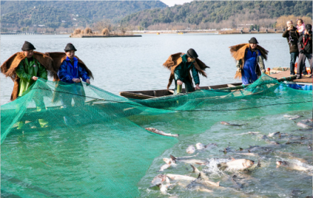 浙江阿拉丁控股集团响应环境保护政策，助力湘湖年鱼节