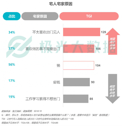 极光大数据：Z世代宅人面面观，兴趣之上、执着专一