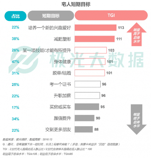 极光大数据：Z世代宅人面面观，兴趣之上、执着专一