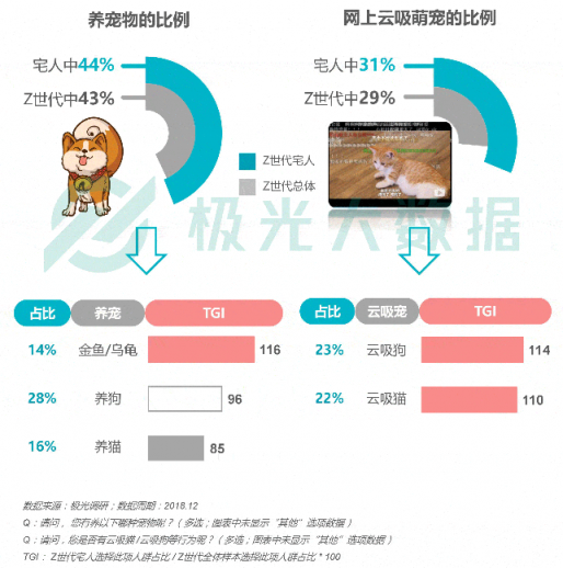 极光大数据：Z世代宅人面面观，兴趣之上、执着专一