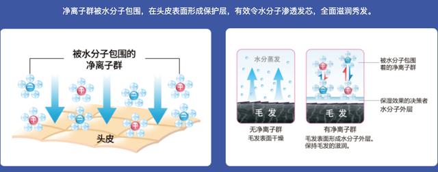 夏普净离子群技术风靡全球 赋能全系家电呵护生活健康