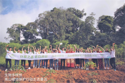 DR PLANT植物医生空瓶“长城”，捍卫生物多样性