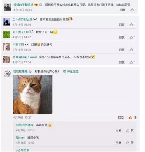 天猫TA为什么不开心？刚刚，这个秘密正式揭晓