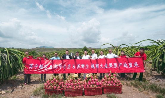 越南火龙果的20分钟旅程，苏宁快消实地见证