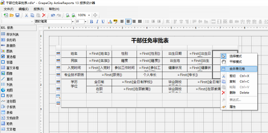 惊艳不止于颜值！报表控件ActiveReports V13.1 正式发布