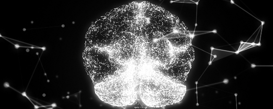 真实版“最强大脑”研究，浪潮存储承载起脑科研PB级新数据