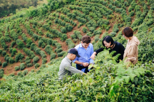 Temial知淳精心挑选品质好茶,用智能科技还原茶中真味