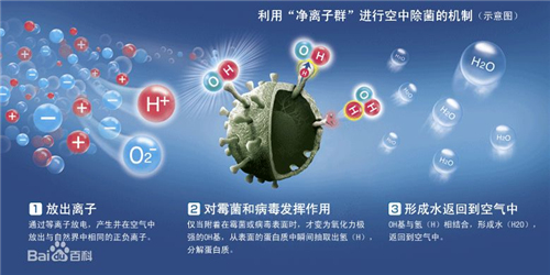 夏普PCI净离子群技术 源于自然界的净化力