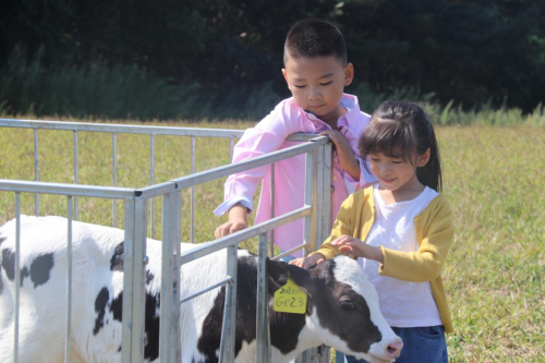 红星森林有机牧场荣膺“牡丹江市中小学生研学旅行基地”