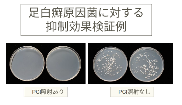 科技界的宝藏男孩 夏普黑科技PCI技术再曝新功能 5G手机已交付