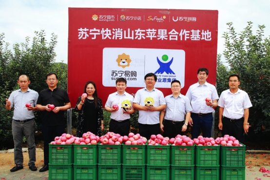 零售巨头发力破局水果价格飙涨：产地直采重构鲜果消费新生态