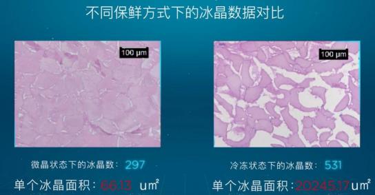 引爆冰箱行业的“微晶一周鲜”大揭秘！美的微晶冰箱如何做到“不冻原鲜，口感如初”？