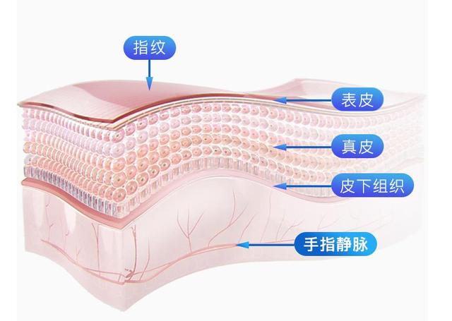 智能门锁不止有指纹，朴墅指静脉智能锁了解一下？