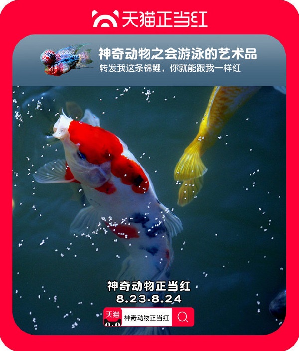 线下宠展+线上矩阵，看天猫神奇动物正当红如何助力宠物经济爆发