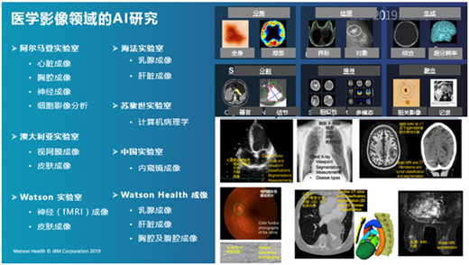 直击WAIC 2019 ｜IBM Watson Health亮相2019全球人工智能健康峰会