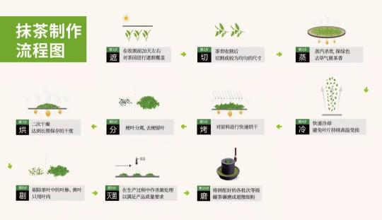 你喝的是抹茶还是茶粉?五个方面看清真假