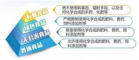 红星乳业：扎根世界黄金奶源带，生产真正的有机奶