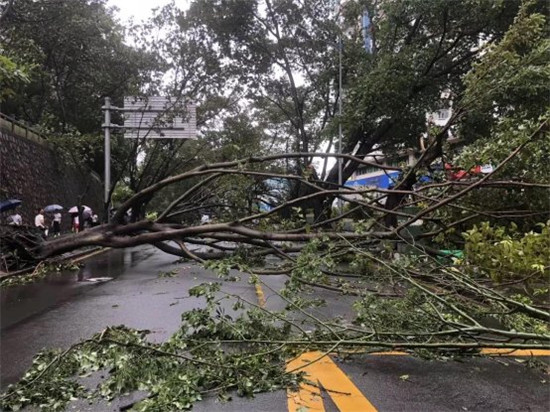 台风袭击，海钜信达做了这件暖心事儿