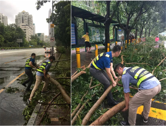 台风袭击，海钜信达做了这件暖心事儿