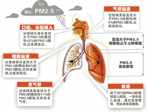 装修忘记装新风系统？壁挂新风机帮你吃后悔药！