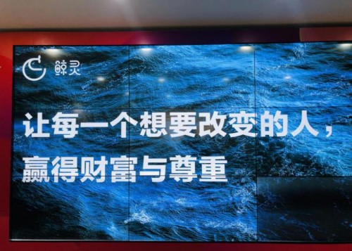 入职甩甩宝宝第一天公司居然要她招募5万验货官