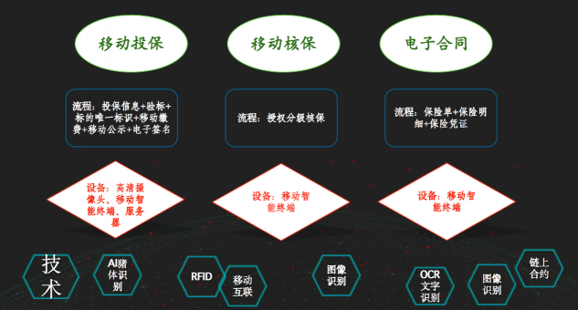 深耕“三农”不忘初心，科技创新坚守始终