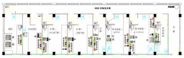 十年磨一剑！全球唯一获批具备一键式自动化NGS建库功能的思路迪ANDiS400前世今生