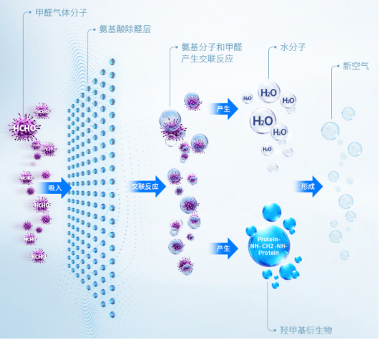 炭包除醛再升级 净美仕氨基酸炭包即将上市