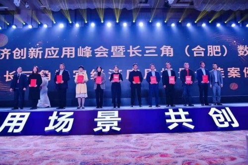 2019中国（合肥）数字经济创新应用峰会 