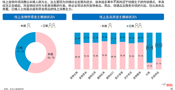 未婚一族养猫狗 年长一代好水族 看京东超市揭秘宠物消费市场