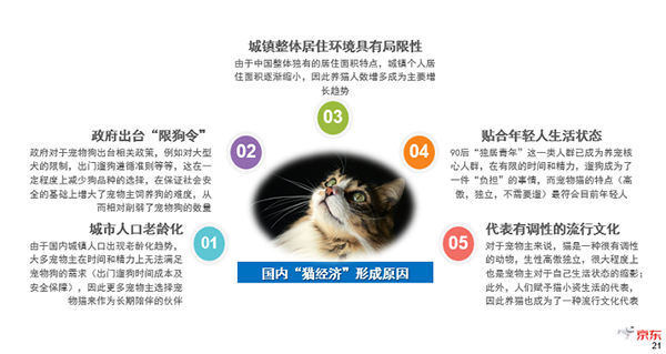 《2019中国宠物消费趋势报告》新鲜出炉，猫咪成年轻人标配