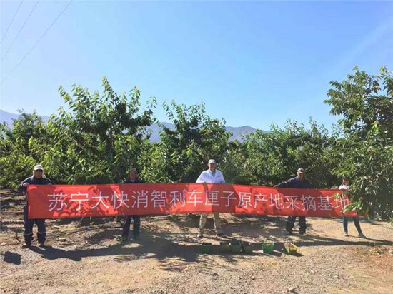 央视揭秘车厘子热背后：苏宁直采+全场景铸就一小时生活圈成型