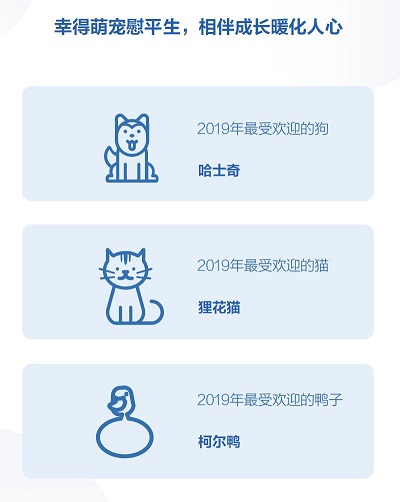 抖音发布2019数据报告 最受欢迎的萌宠是哈士奇和狸花猫