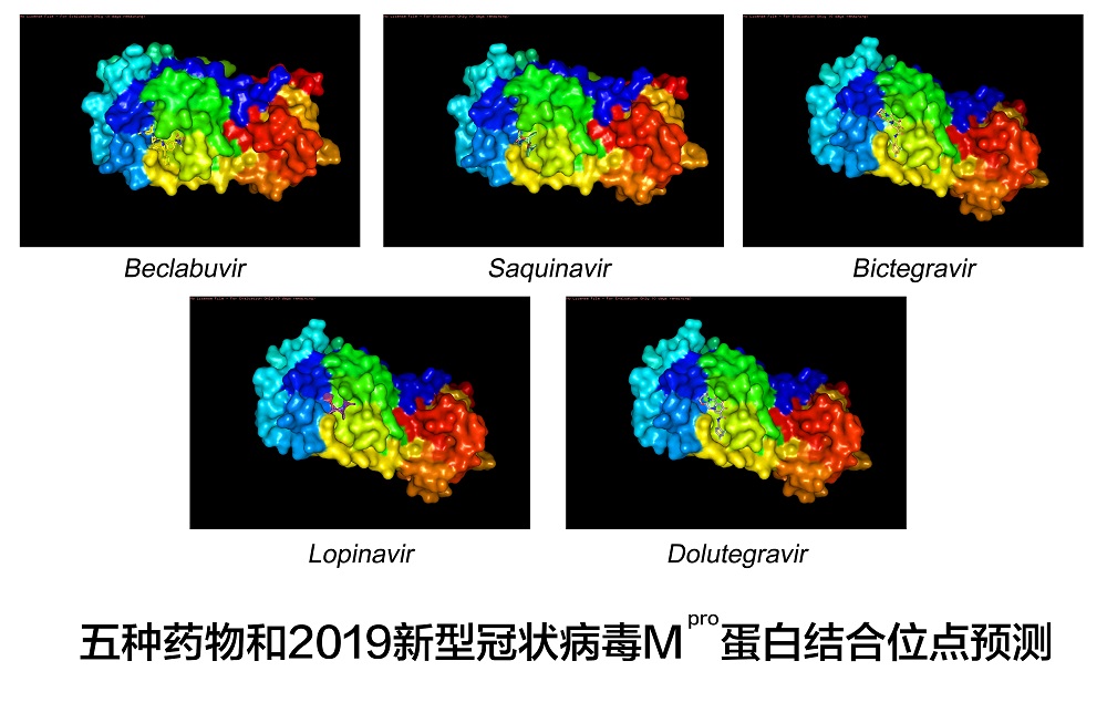 抗疫进展：多家科研机构联合筛选出五种可能有效的抗病毒药物